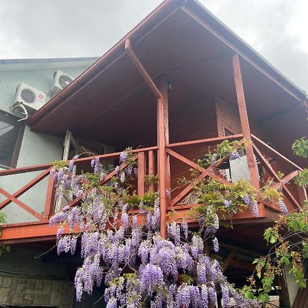 Fkoka Bed & Breakfast Берегово Екстериор снимка