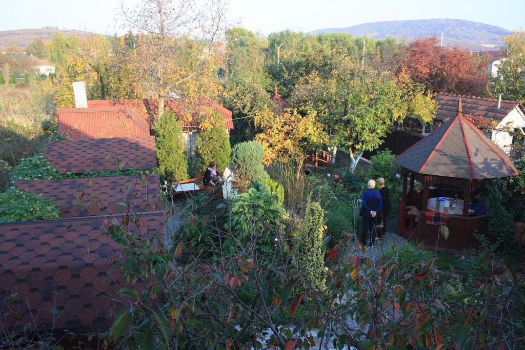 Fkoka Bed & Breakfast Берегово Екстериор снимка